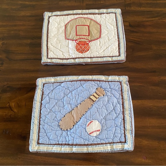 Pottery Barn Quilted Shams Appliqué - Picture 2 of 5